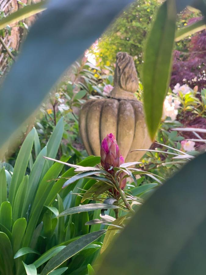 Bed and Breakfast Coté jardin Sainte-Suzanne  Exterior foto
