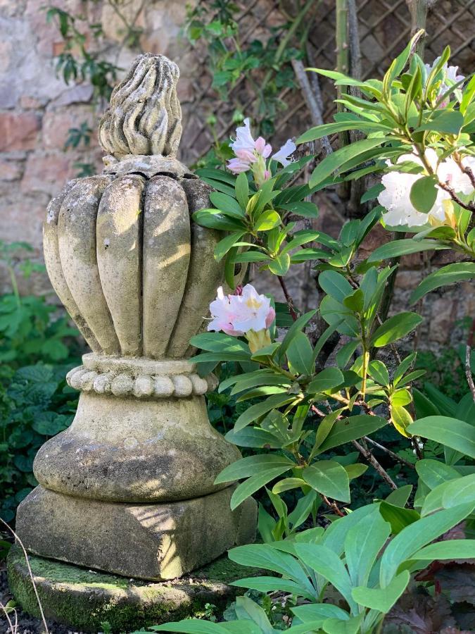 Bed and Breakfast Coté jardin Sainte-Suzanne  Exterior foto