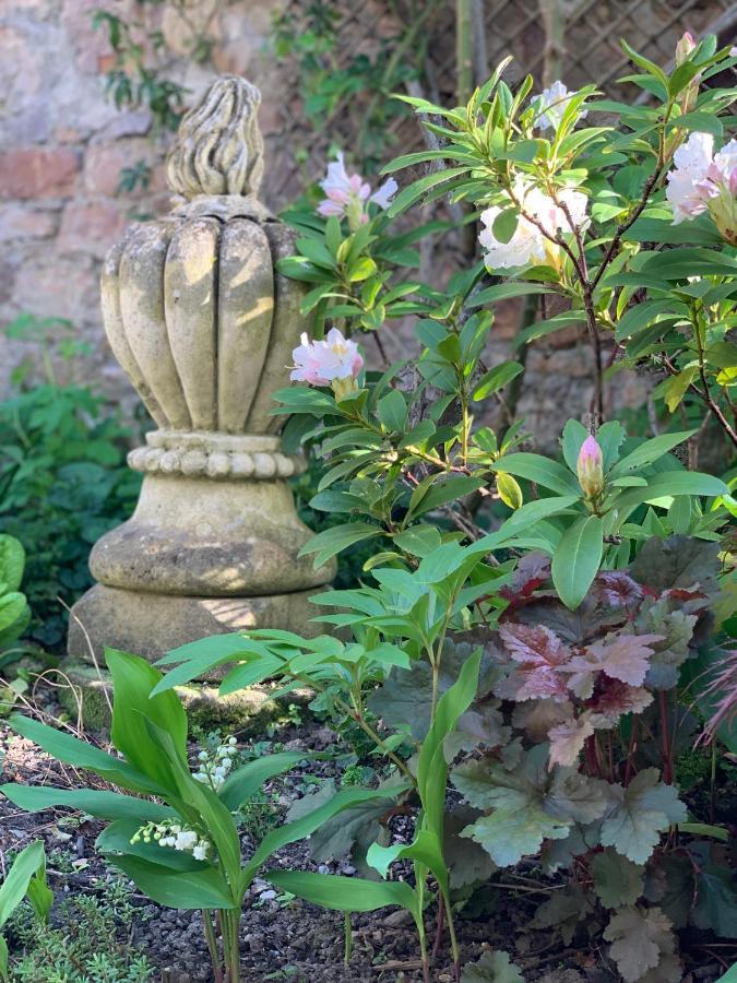 Bed and Breakfast Coté jardin Sainte-Suzanne  Exterior foto