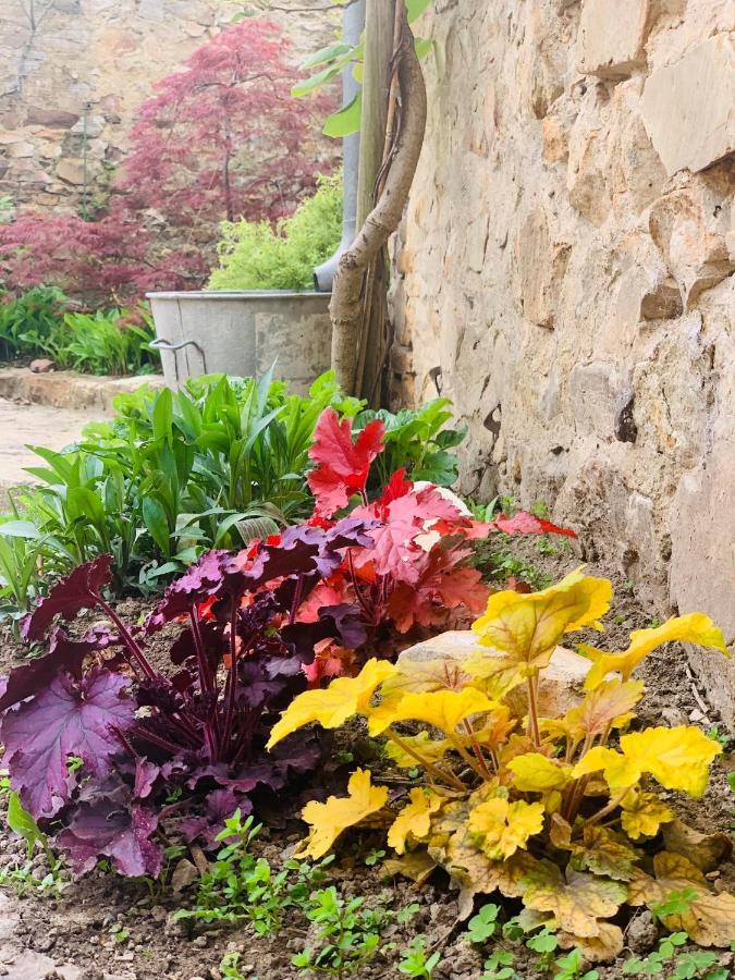 Bed and Breakfast Coté jardin Sainte-Suzanne  Exterior foto